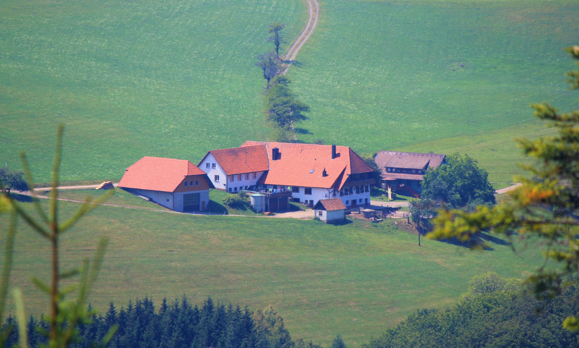 Blick vom Panoramaweg auf den Alexenhof